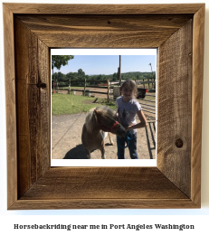 horseback riding near me in Port Angeles, Washington